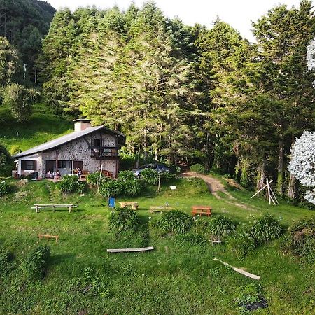 El Pital Ecolodge San Ignacio エクステリア 写真