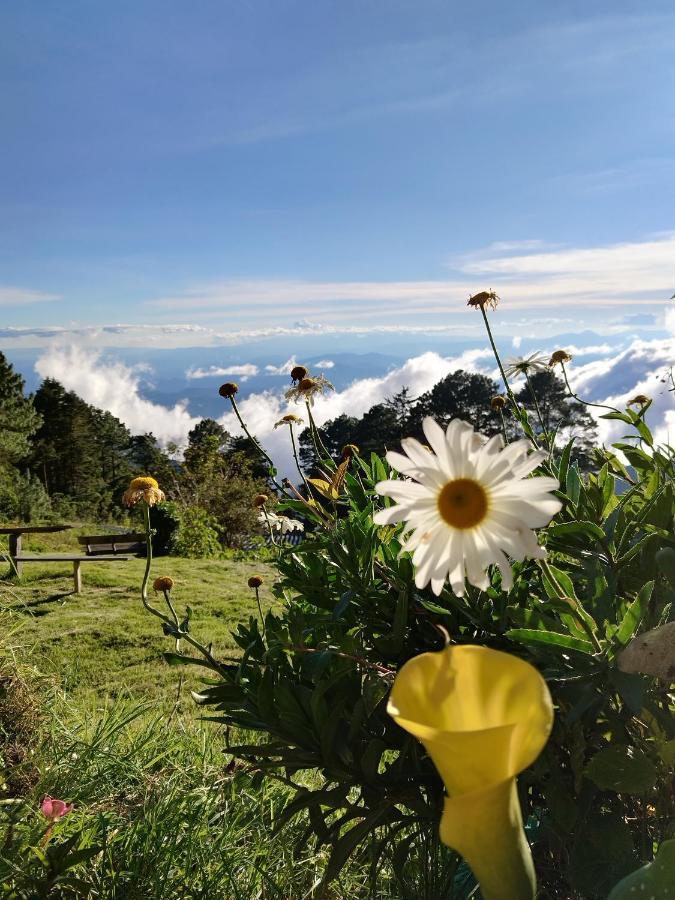 El Pital Ecolodge San Ignacio エクステリア 写真