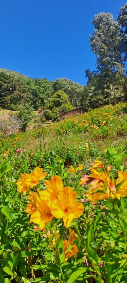 El Pital Ecolodge San Ignacio エクステリア 写真