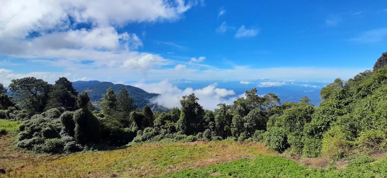 El Pital Ecolodge San Ignacio エクステリア 写真